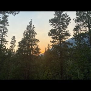 Meet your Posher, Dan